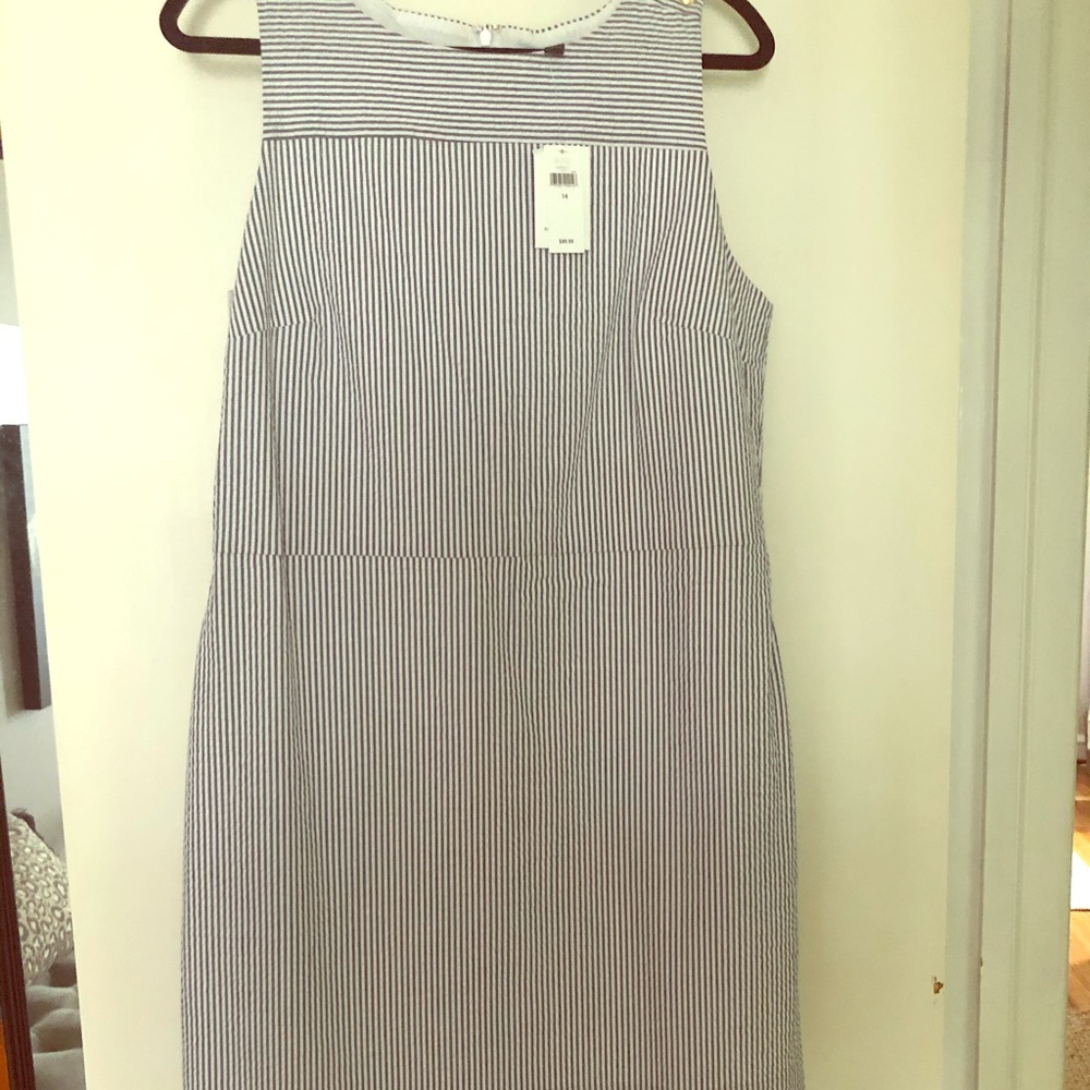 Banana Republic blue seersucker A line shift